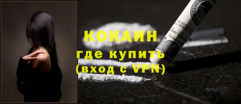 Cocaine FishScale  где продают   Бикин 